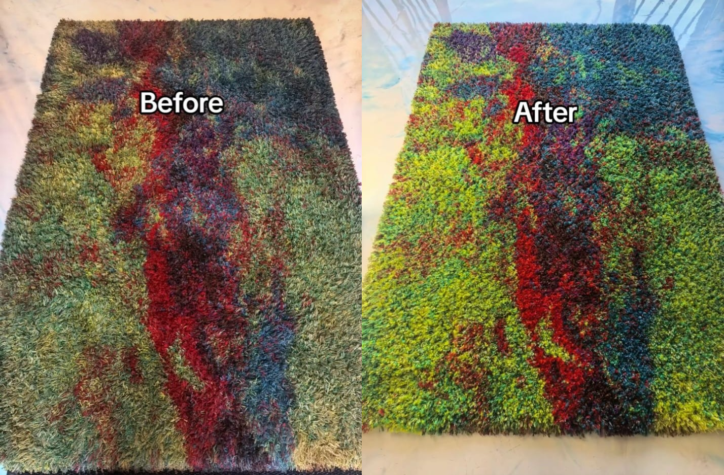 Close-up view of sanitized and revived carpet fibers showing professional cleaning results.